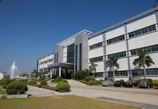 海南实惠糯米价格实惠