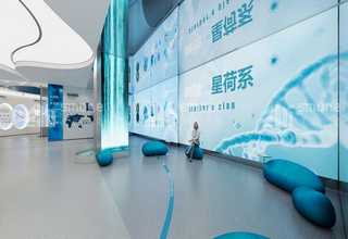 发泡无纺布生产厂家