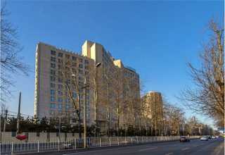 嘉定区卡通Polo衫直销价