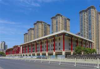 无锡干品灰树花菌棒